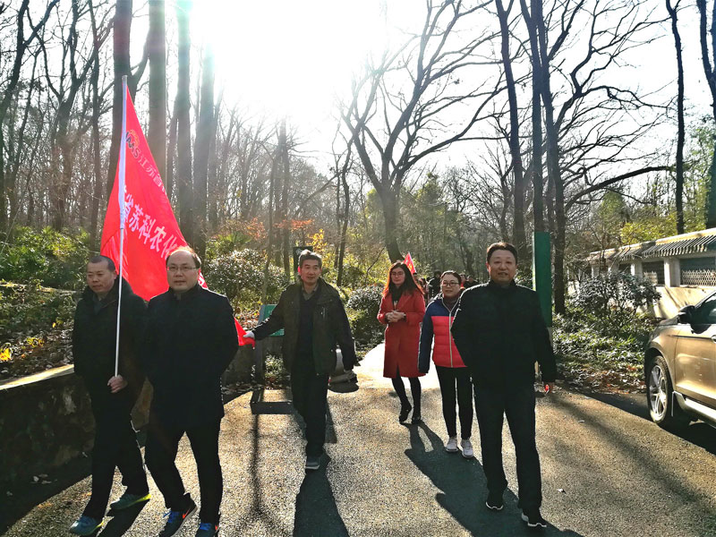 庆元旦 迎新年